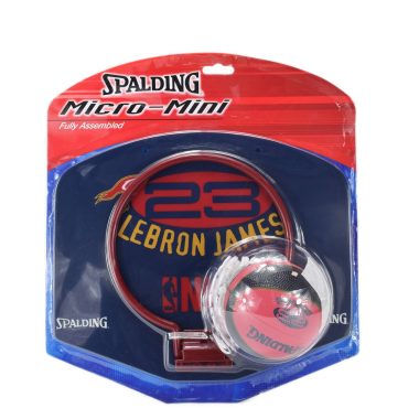 Баскетболен кош Spalding S77-513Z LEBRON JAMES